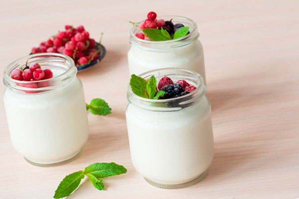Греческий йогурт на диете: состав калорийность белок
