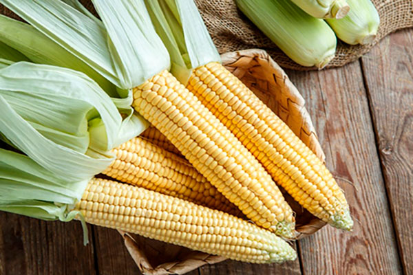 Вареная кукуруза при диете
