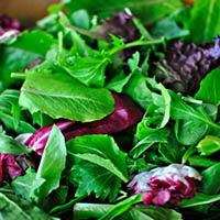 Салат зеленый листовой полезные свойства и противопоказания