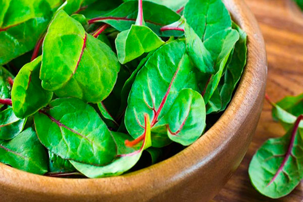 салат зеленый листовой полезные свойства