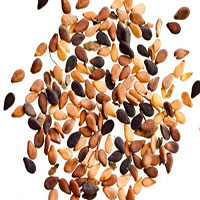 Sesame seeds diet